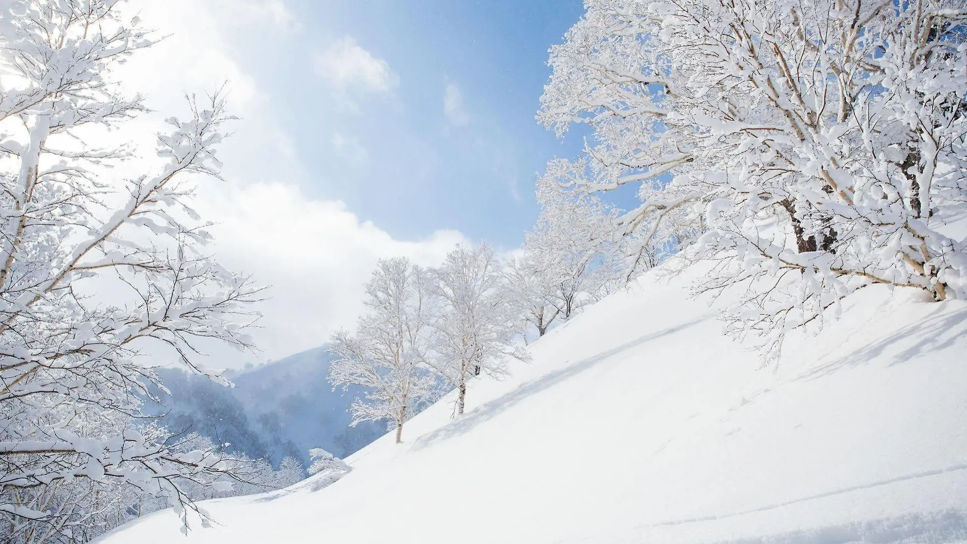 Loft Niseko Lejlighed Kutchan
